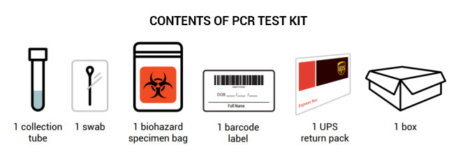 Contents PCR
